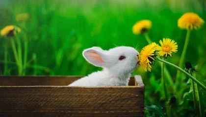 【中金所 | 微视界】《股指期货的定价原理》