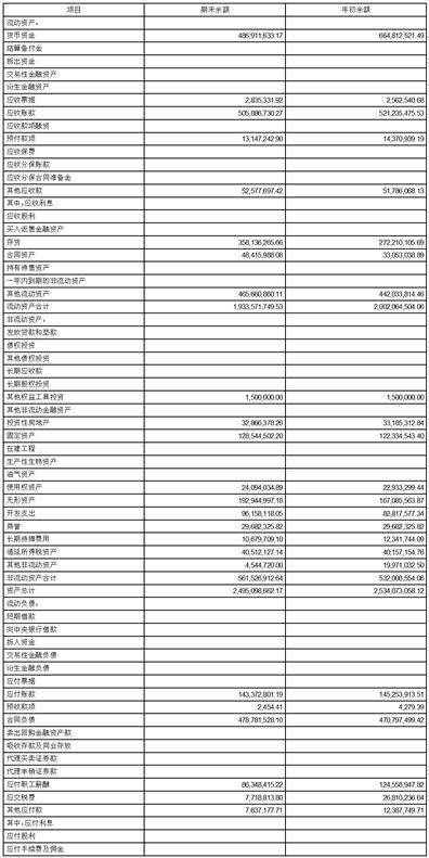 四川久远银海软件股份有限公司2023第一季度报告