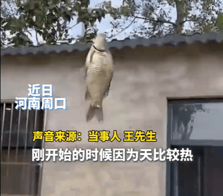 男子在家操控无人机钓鱼<strong></p>
<p>天津证券</strong>，当天就钓上十几条，当事人：不要轻易尝试，已被鱼拉下水十几个无人机