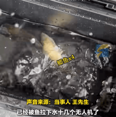 男子在家操控无人机钓鱼<strong></p>
<p>天津证券</strong>，当天就钓上十几条，当事人：不要轻易尝试，已被鱼拉下水十几个无人机