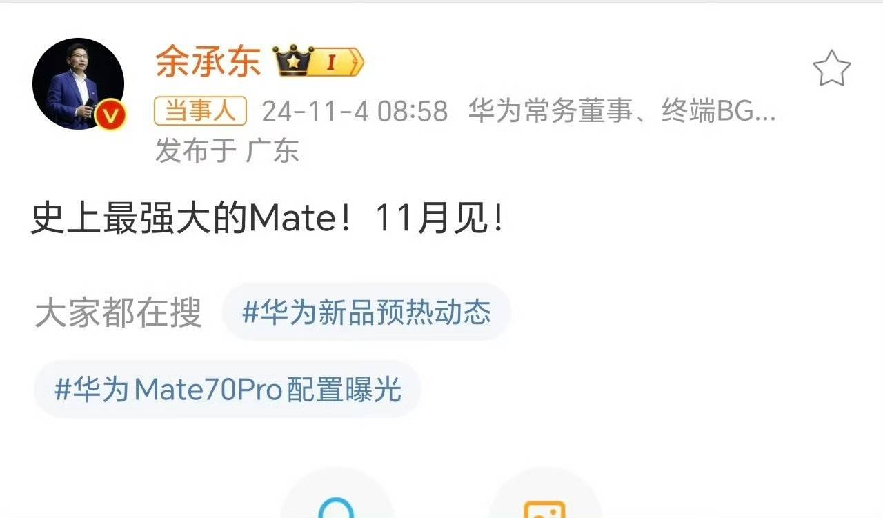 华为Mate 70官方图曝光？标注售价8599<strong></p>
<p>江海证券</strong>，网友：这价格有点假了