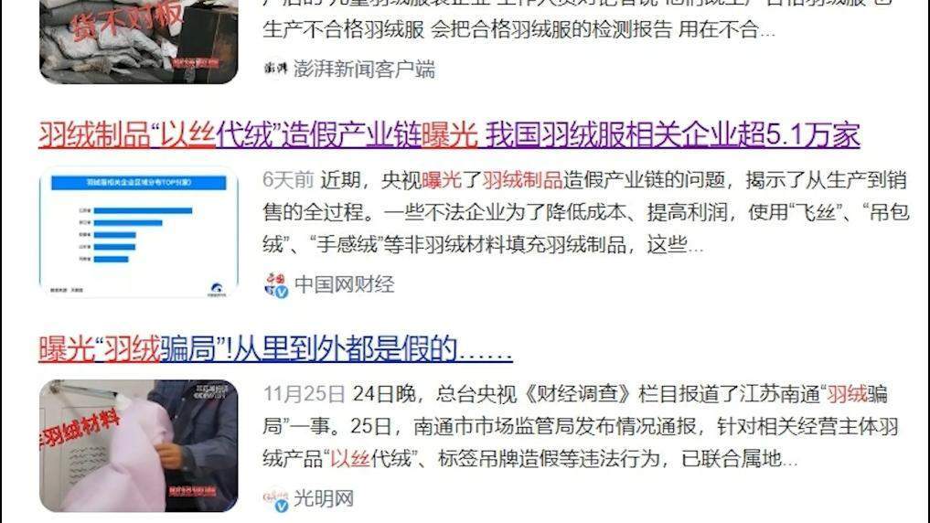 羽绒服“假绒”乱象调查：“羽丝”“绒丝”到底是什么<strong></p>
<p>证券公司工作</strong>？
