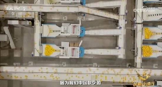 2024年末央视再度专访钟睒睒<strong></p>
<p>证券开户网上</strong>，背后有何深意？