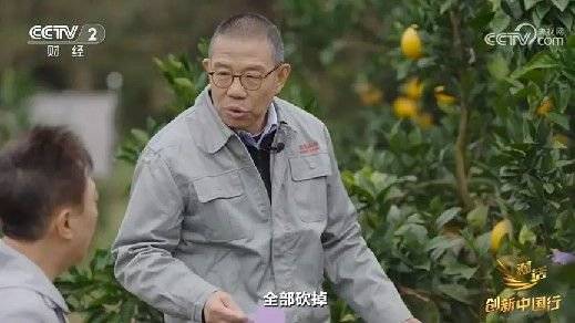 2024年末央视再度专访钟睒睒<strong></p>
<p>证券开户网上</strong>，背后有何深意？