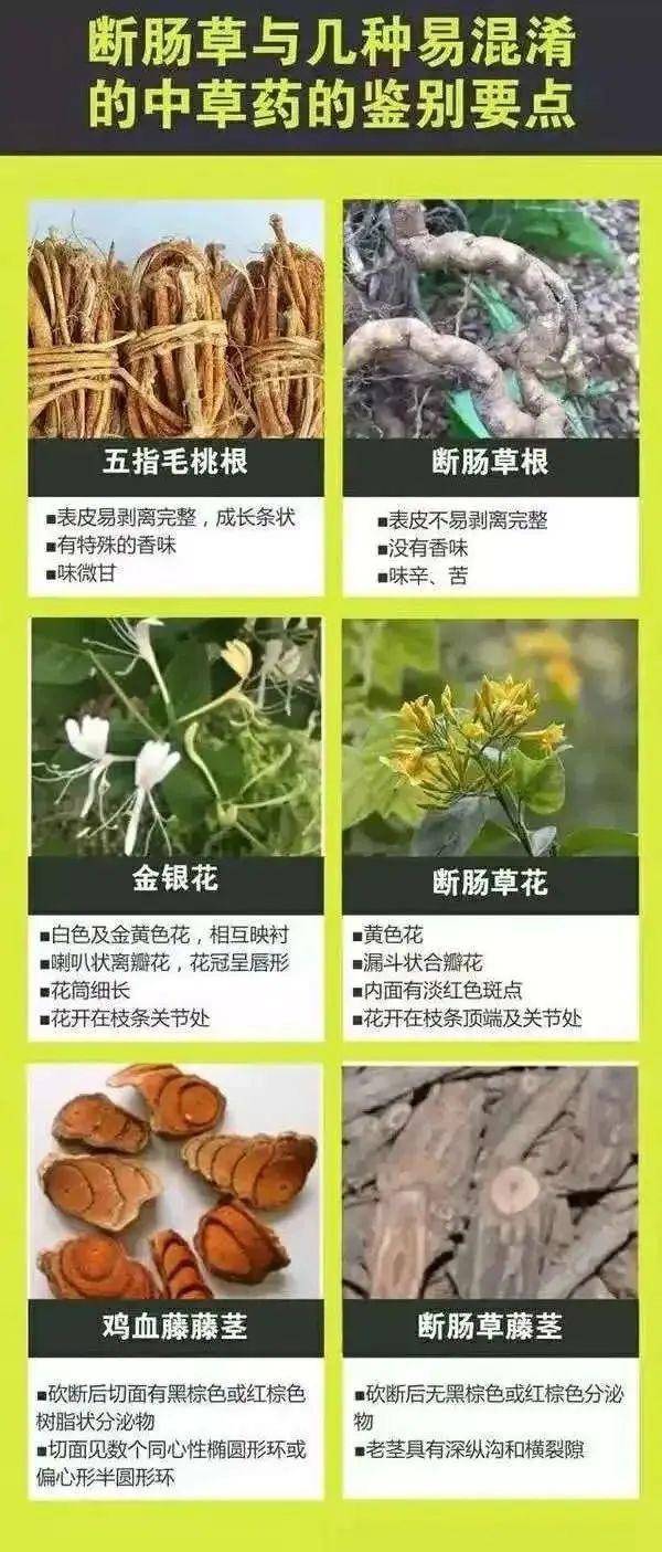 广东一老人买药材煲汤中毒身亡 当地：店铺误售断肠草<strong></p>
<p>财信证券</strong>，老板被拘留