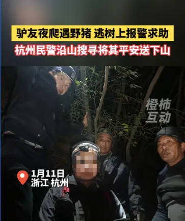 “我现在在树上<strong></p>
<p>证券保荐</strong>，野猪在下面……”杭州一男子深夜报警！