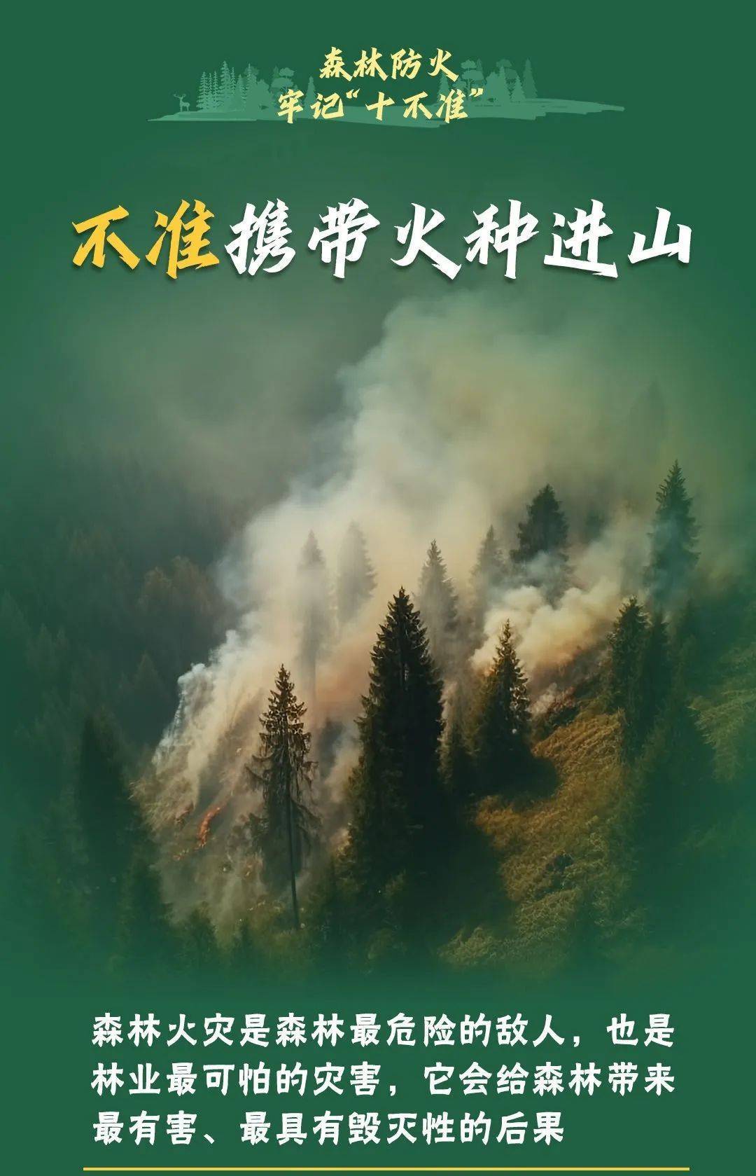已致4名消防员遇难<strong></p>
<p>证券活动</strong>！多地进入“灾难状态”