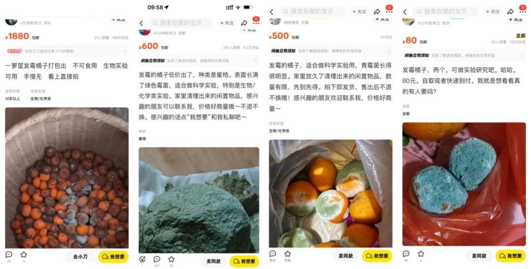 突然火了<strong></p>
<p>通达信证券</strong>！有人卖500元一个！网友：后悔扔了……
