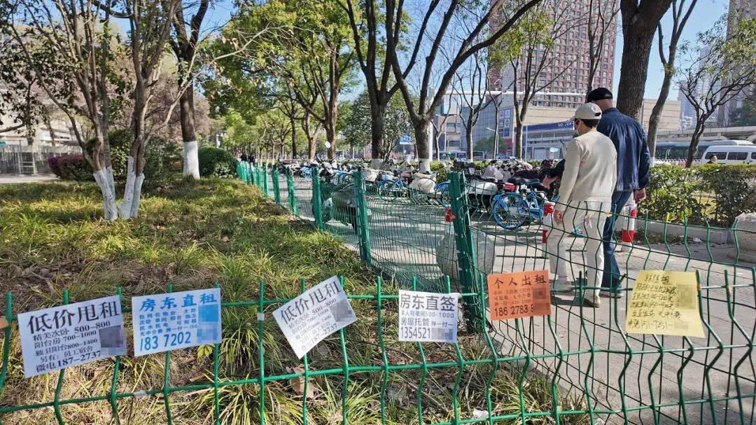 一二线城市房租普降<strong></p>
<p>证券监管</strong>，房东主动降200留我