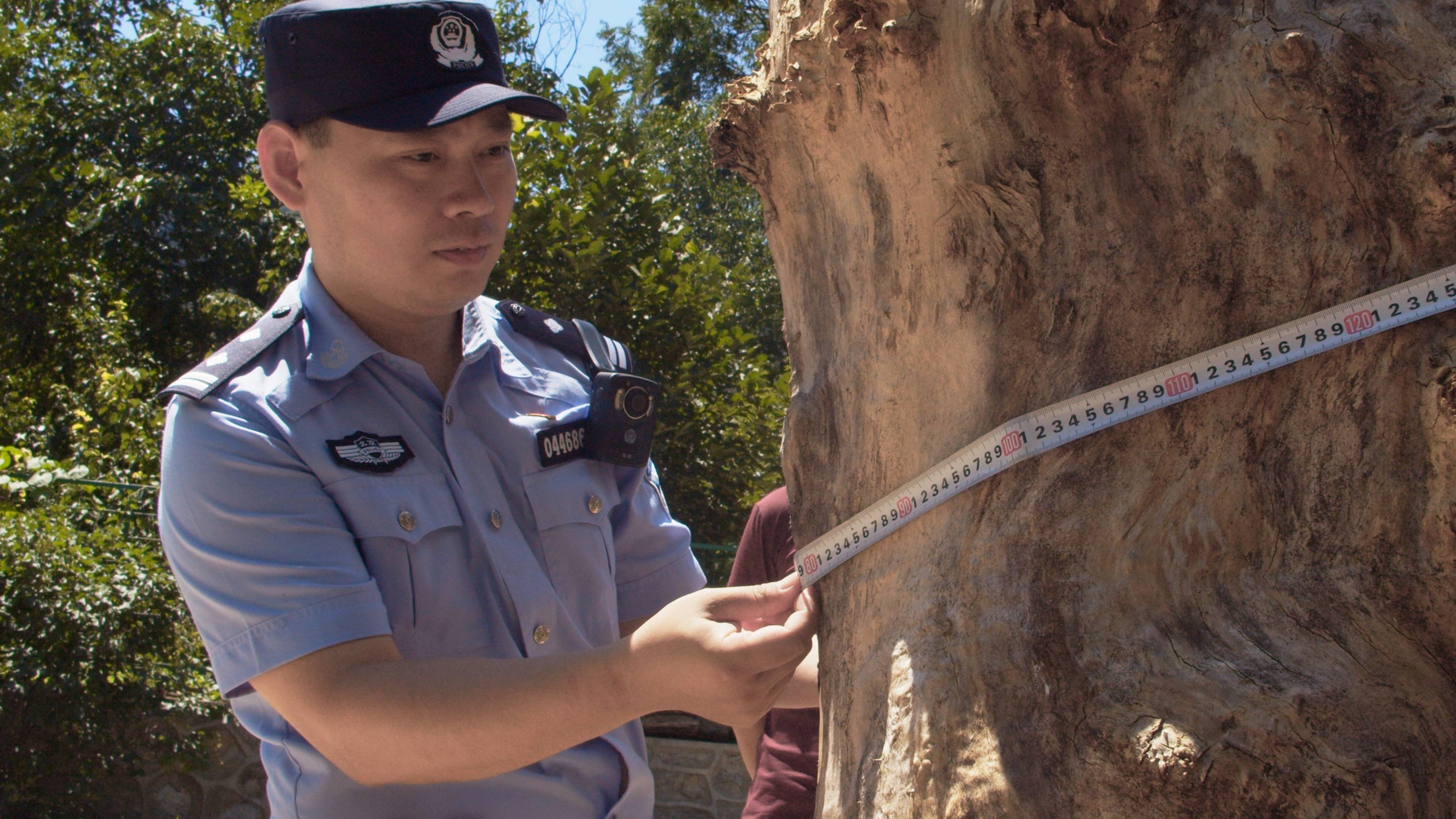 森林警察韩孟祺：乔装成驴友潜伏密林中<strong></p>
<p>证券基金从业</strong>，抓获“粘鸟”嫌疑人