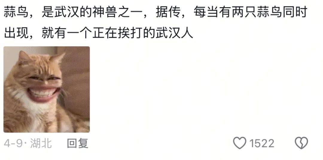 武汉话“蒜鸟”<strong></p>
<p>证券英文</strong>，最近劝（添）架（乱）唯一指定用语