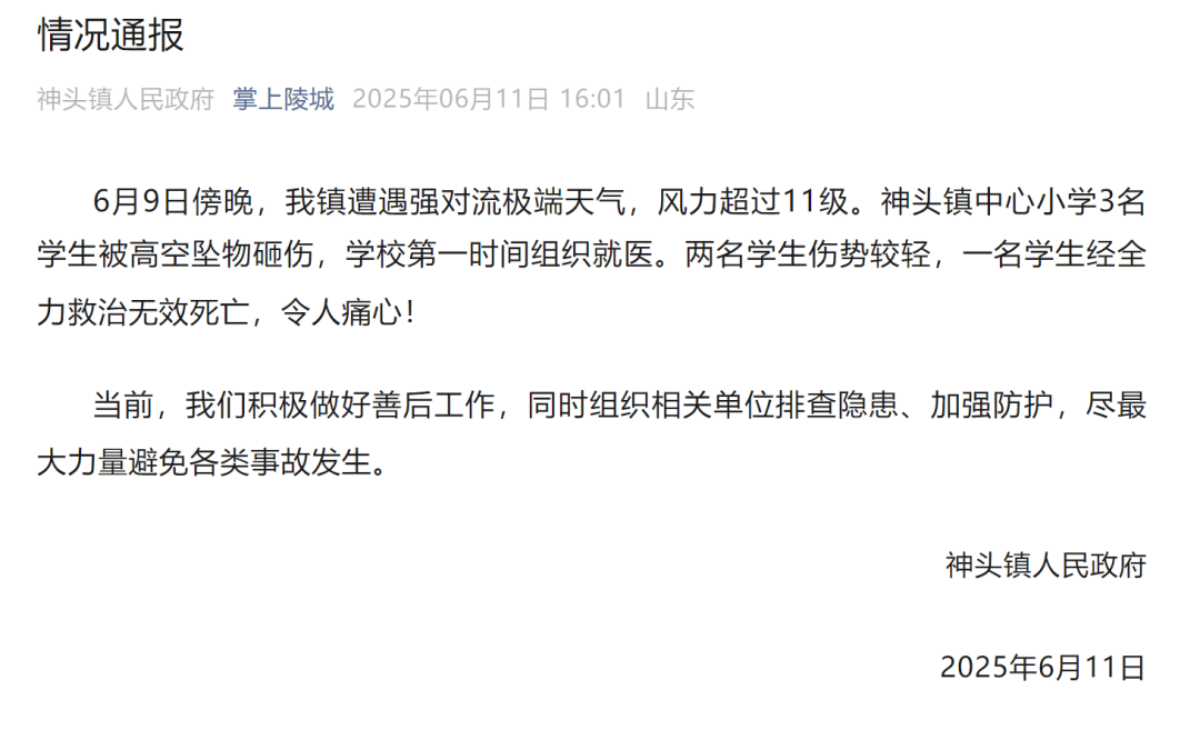 山东德州通报“小学楼顶光伏板掉落砸中多名学生”：3名学生被砸伤<strong></p>
<p>中信证券 电话</strong>，1名学生经全力救治无效死亡