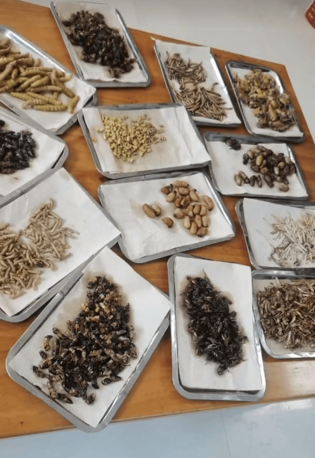 山东临沂通报“蛤蟆汤”饭店被拟罚45万：撤销处罚<strong></p>
<p>证券资讯</strong>，5人停职
