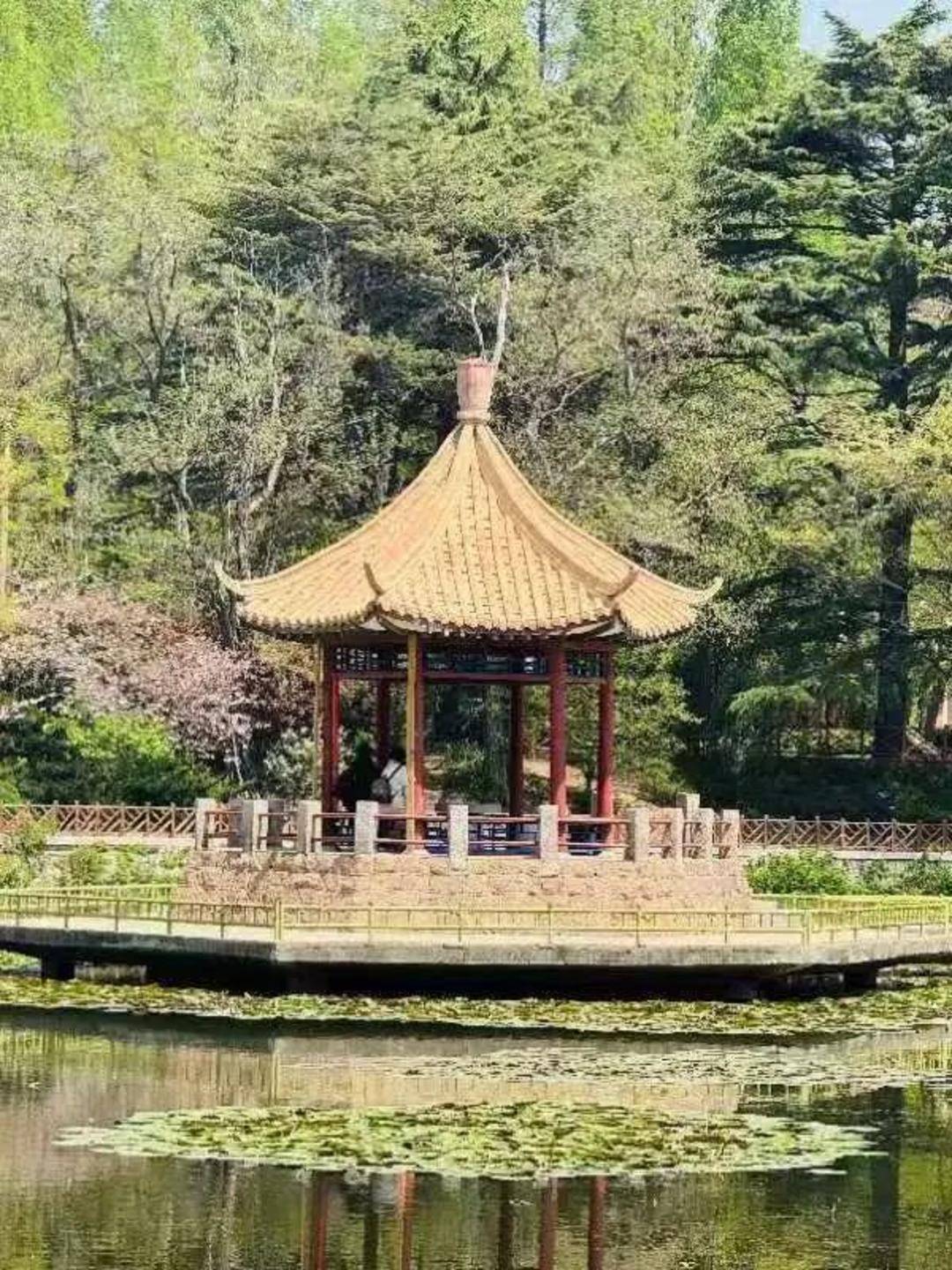 青岛中山公园一凉亭突然倒塌：一年前刚完成修缮<strong></p>
<p>002598股票</strong>，园方称无伤亡原因待查
