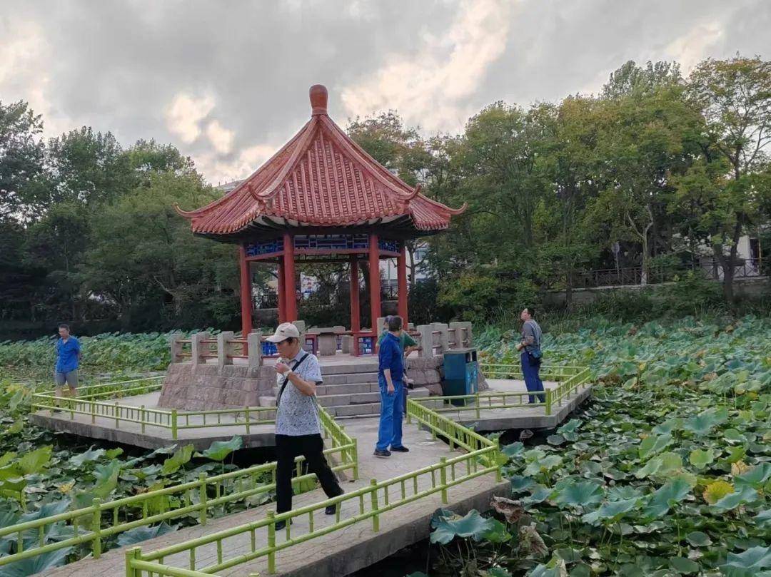 青岛中山公园一凉亭突然倒塌：一年前刚完成修缮<strong></p>
<p>002598股票</strong>，园方称无伤亡原因待查