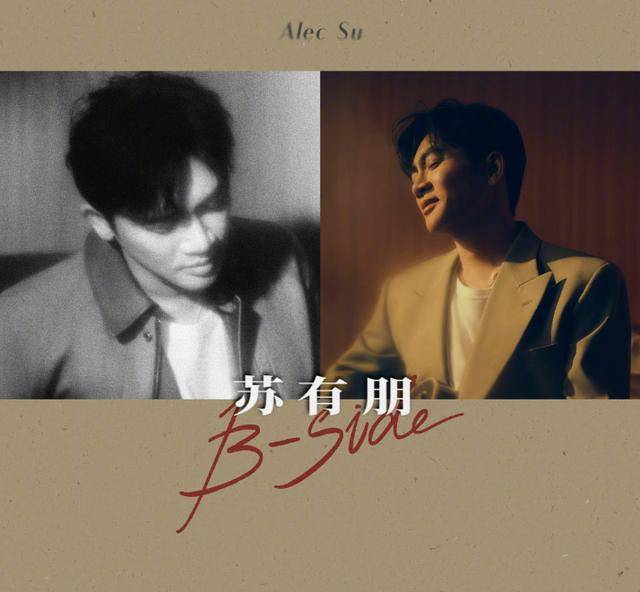 苏有朋音乐会普通票不能合影<strong></p>
<p>海螺股票600585</strong>，本人回应