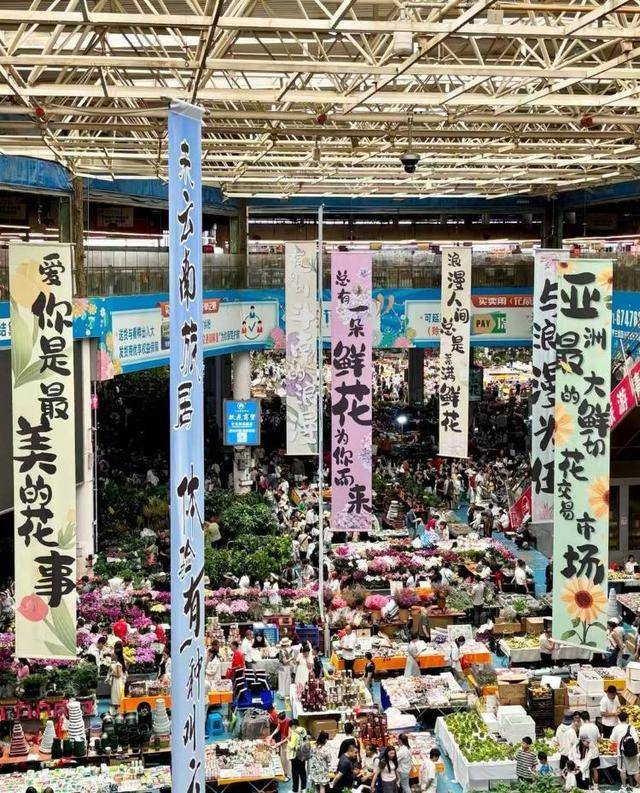 七夕不送玫瑰改送花菜<strong></p>
<p>海螺股票600585</strong>！这一届年轻人“反套路”重新定义浪漫
