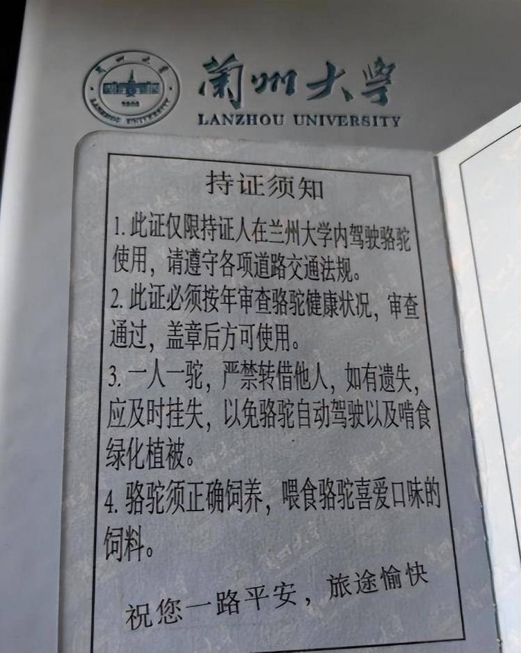 一人一驼<strong></p>
<p>古越龙山</strong>，骆驼尾气排放超标要扣分？兰大回应学生持证骑骆驼上学：骆驼驾驶证为学校文创，非官方证件