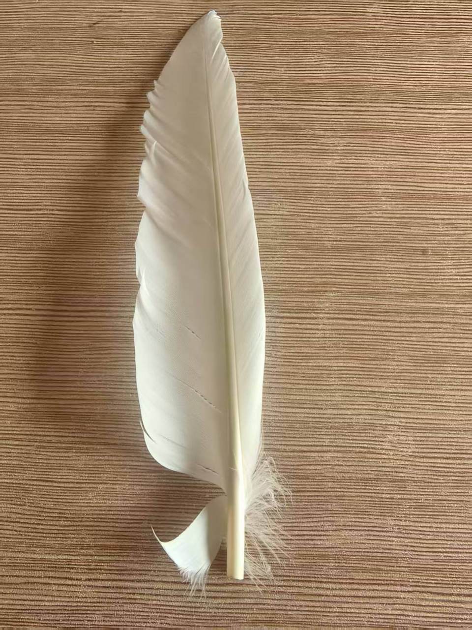 羽毛球又又又涨价<strong></p>
<p>古越龙山</strong>，球友破防：月花三千扛不住，打球人的天塌了