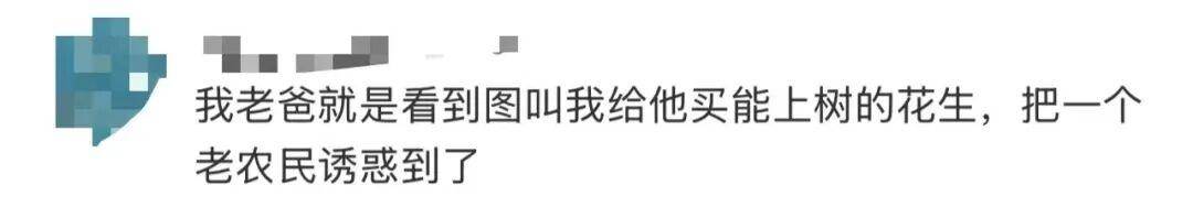 “花生上树”闹剧：AI翻车背后<strong></p>
<p>国泰君安股票</strong>，我们都在弄丢常识？