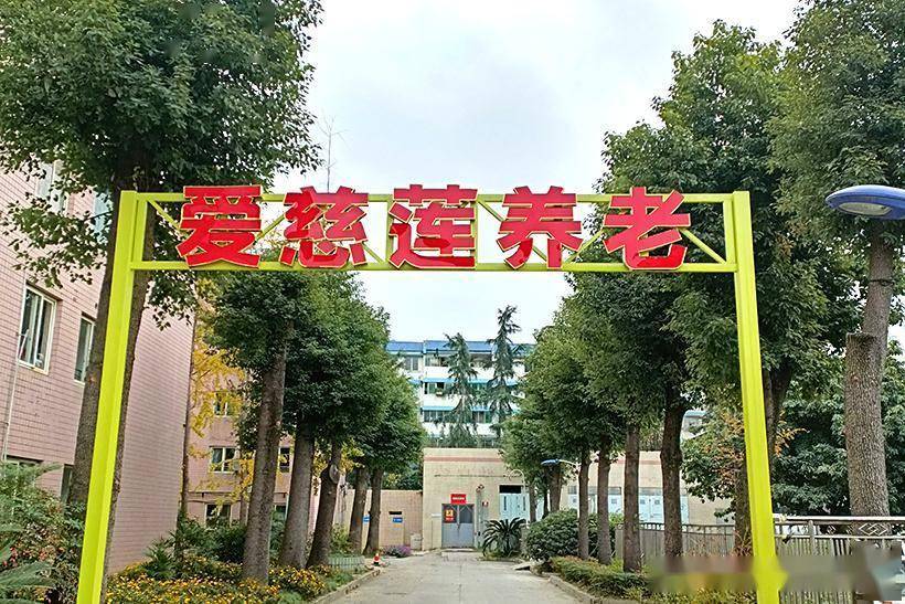 成都养老院如何选择<strong></p>
<p>如何选择股票</strong>？