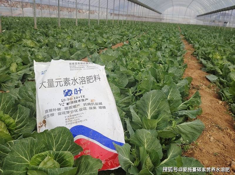 水溶肥厂家如何选择?