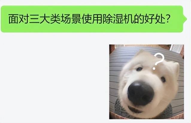 除湿机品牌哪个好？详细测评细致分析哪个牌子好<strong></p>
<p>哪个股票好</strong>！