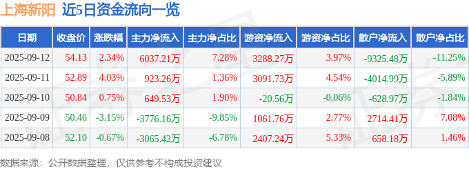 股票行情快报：上海新阳（300236）9月12日主力资金净买入6037.21万元
