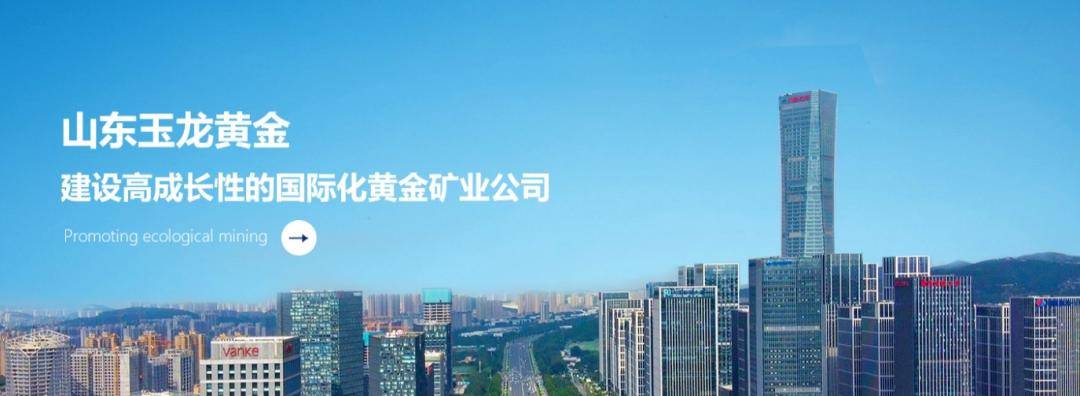 玉龙股份更名为鑫升矿业，市值巅峰期曾达201亿元