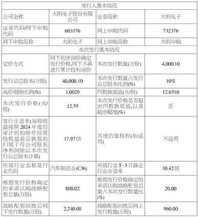 大明电子股份有限公司 首次公开发行股票并在主板上市发行公告