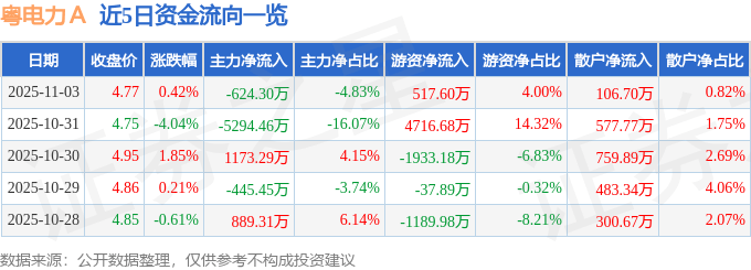 股票行情快报:粤电力A(000539)11月3日主力资金净卖出624.30万元
