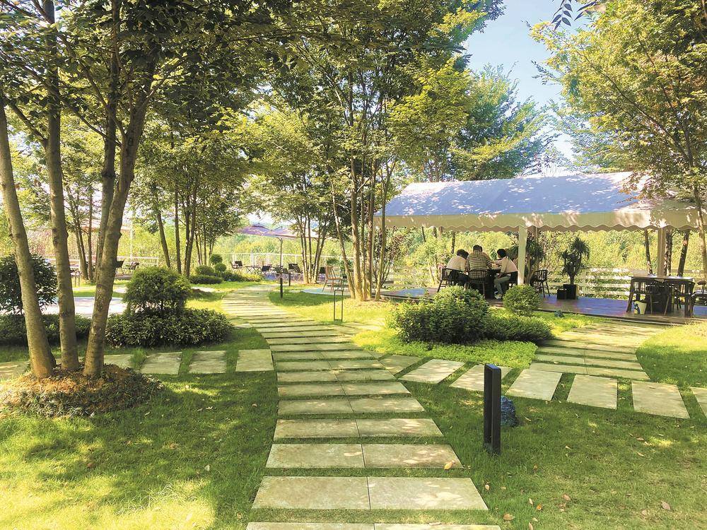 看“航空动力小镇” 如何绘制“发展动图”