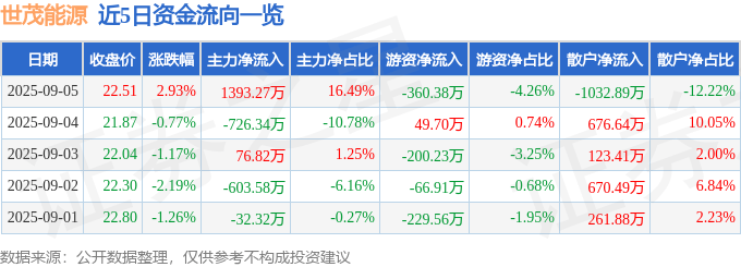股票行情快报:世茂能源(605028)9月5日主力资金净买入1393.27万元