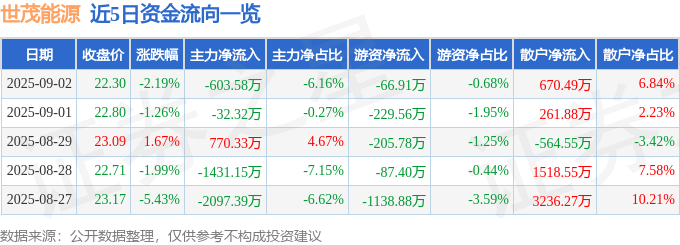 股票行情快报:世茂能源(605028)9月2日主力资金净卖出603.58万元